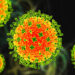 Kerala on High Alert After Suspected Nipah Case in Kozhikode