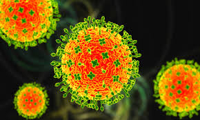 Kerala on High Alert After Suspected Nipah Case in Kozhikode