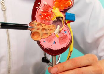 Silent Kidney Disease May Show No Early Symptoms