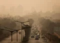 Air Pollution May Be Damaging Young People’s Kidneys: Study