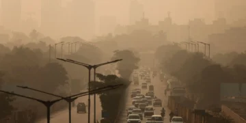 Air Pollution May Be Damaging Young People’s Kidneys: Study