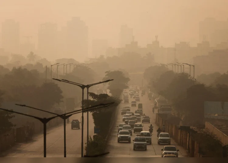 Air Pollution May Be Damaging Young People’s Kidneys: Study