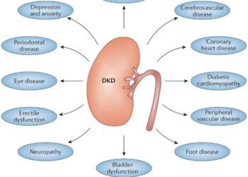 Diabetes linked to changes in kidney function and electrolyte levels study finds