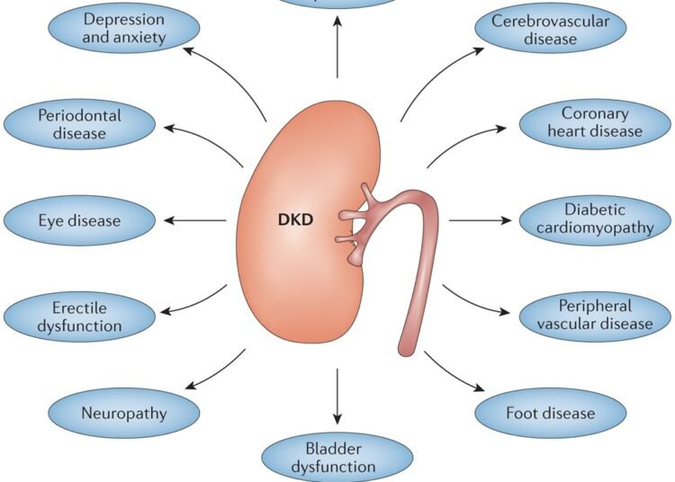 Diabetes linked to changes in kidney function and electrolyte levels study finds