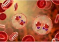 New Study Reveals how parasite hijacks immunity, points to experimental treatment