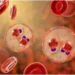 New Study Reveals how parasite hijacks immunity, points to experimental treatment