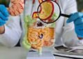 New microscope brings hope for IBD patients