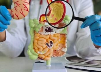 New microscope brings hope for IBD patients