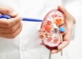Diabetes linked to changes in kidney function and electrolyte levels study finds