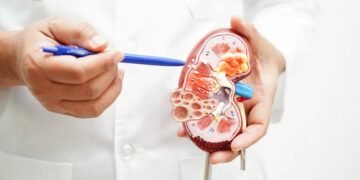 Diabetes linked to changes in kidney function and electrolyte levels study finds