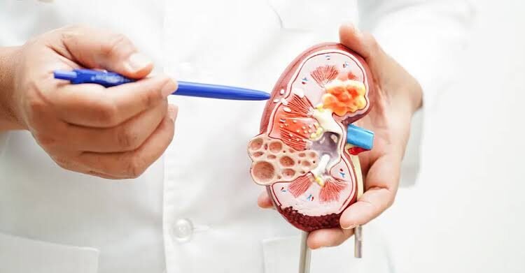 Diabetes linked to changes in kidney function and electrolyte levels study finds