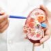 Diabetes linked to changes in kidney function and electrolyte levels study finds
