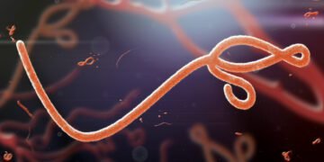 African Union urges urgent action to contain Ebola Outbreak across Africa