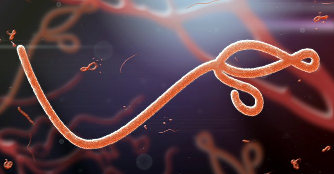 African Union urges urgent action to contain Ebola Outbreak across Africa