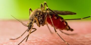 West Nile virus cases rise across 45 US states raising Neurological health concerns