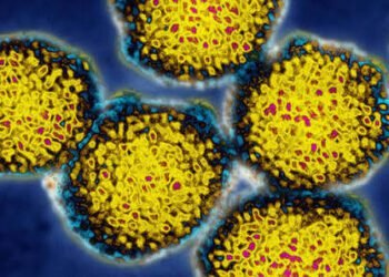 Study finds combined respiratory virus spread best predicts hospital admissions