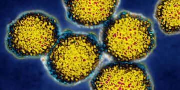 Study finds combined respiratory virus spread best predicts hospital admissions