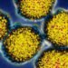 Study finds combined respiratory virus spread best predicts hospital admissions